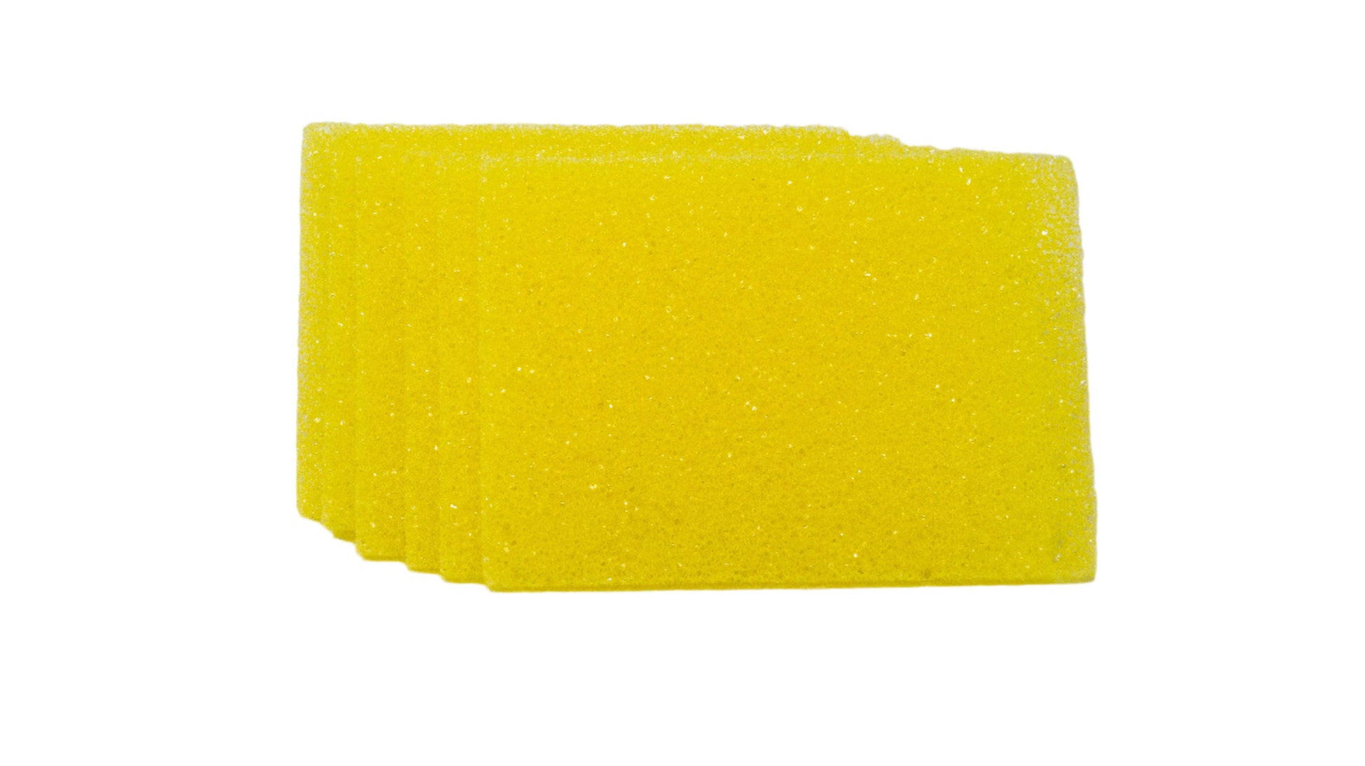 PDP 1/4" Thin Yellow Bug Sponge Pad - 6 Pack - PDP